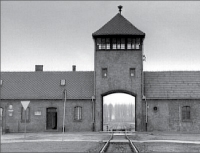 auschwitz_l.jpg