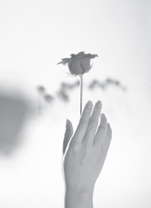 single-rose-with-hand-bw.jpg