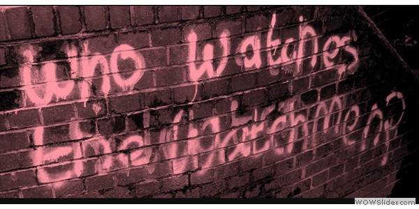 Who will watch the watchmen?